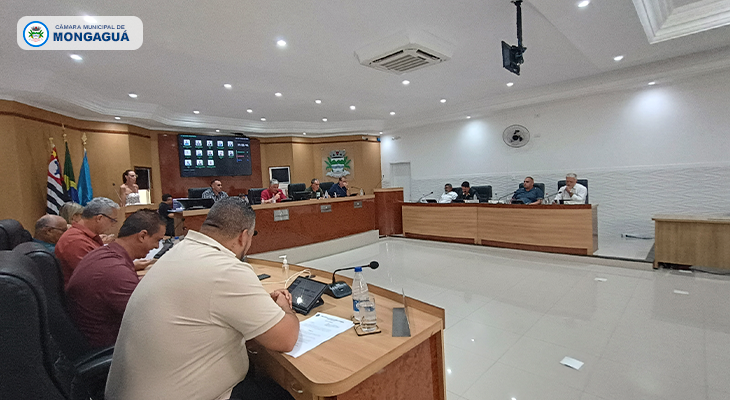 Requerimentos abordam ausência de psicólogos e fluxo na Fisioterapia municipal